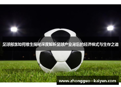 足球部落如何维生揭秘深度解析足球产业背后的经济模式与生存之道