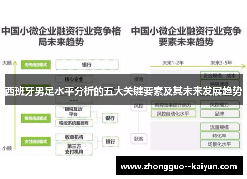 西班牙男足水平分析的五大关键要素及其未来发展趋势